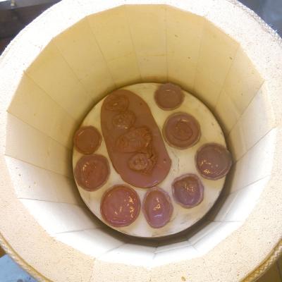 Ceplis 8 Aug04 2023 15